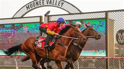 manikato stakes tips|Cox Plate, Manikato Stakes tips for Moonee Valley Saturday.